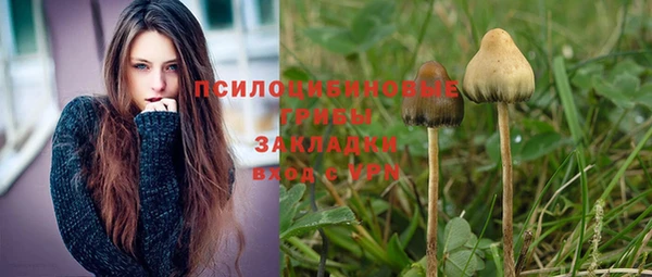 гидропоника Беломорск
