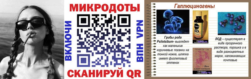 darknet формула  как найти закладки  Верхняя Пышма  Галлюциногенные грибы Magic Shrooms 